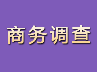 宁安商务调查